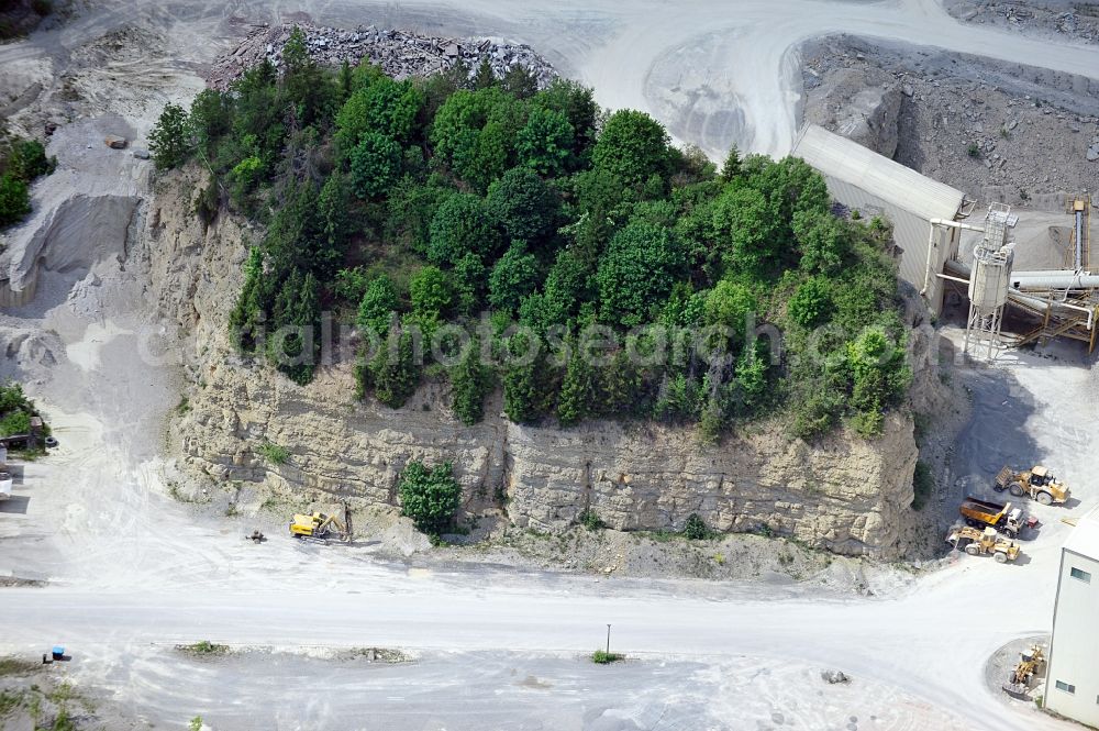 Aerial photograph Themar - Forest Island in a quarry near Themar in Thuringia