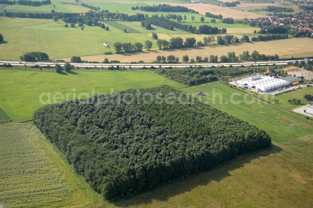 Linthe from the bird's eye view: Blick auf ein quadratisch angeordnetes Mischwaldareal / Wald / Waldinsel / Waldfläche an der A9 in der Nähe des Gewerbegebiets Linthe in Brandenburg. Die Anordnung der Bäume sieht aus wie ein Quadrat.