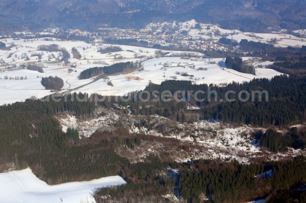 Aerial photograph Hasel - In this forest area near Hasel in the state of Baden-Wuerttemberg in the Black Forest in the winter millions of Bramblings have set up their roost