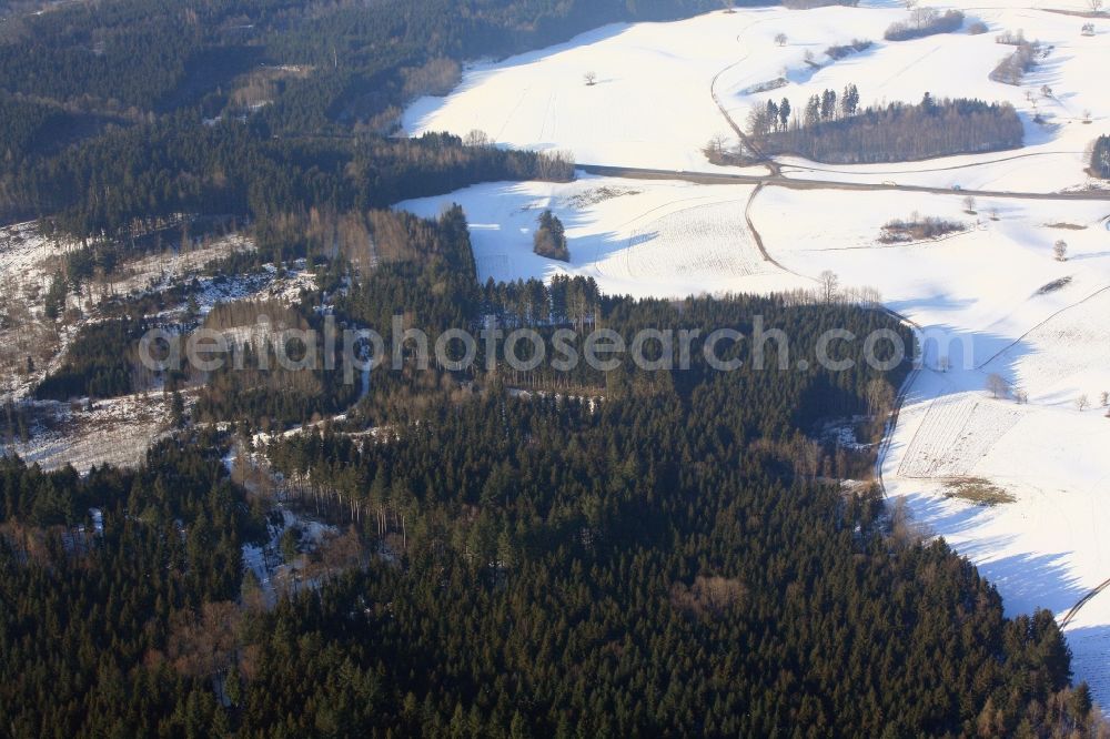 Aerial image Hasel - In this forest area near Hasel in the state of Baden-Wuerttemberg in the Black Forest in the winter millions of Bramblings have set up their roost