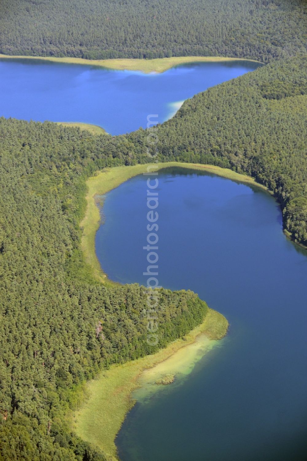 Aerial image Neustrelitz - Forest between the lakes of Grosser Fuerstenseer See and Zwirnsee in Neustrelitz in the state of Mecklenburg - Western Pomerania. The two lakes are located amidst forest in the East of the urban area in the county district of Mecklenburgische Seenplatte