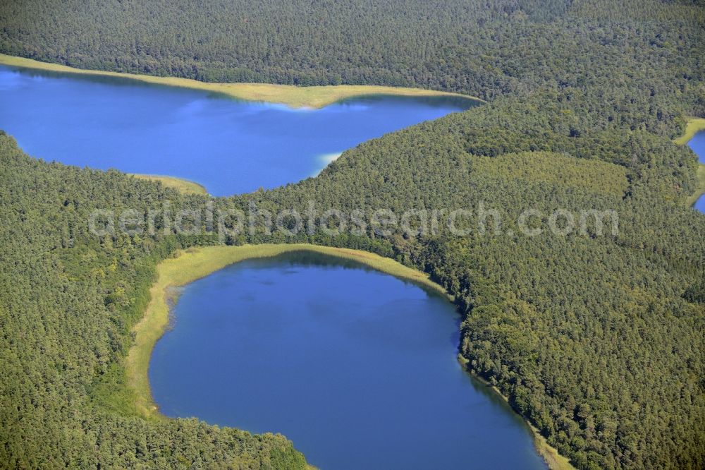 Aerial photograph Neustrelitz - Forest between the lakes of Grosser Fuerstenseer See and Zwirnsee in Neustrelitz in the state of Mecklenburg - Western Pomerania. The two lakes are located amidst forest in the East of the urban area in the county district of Mecklenburgische Seenplatte