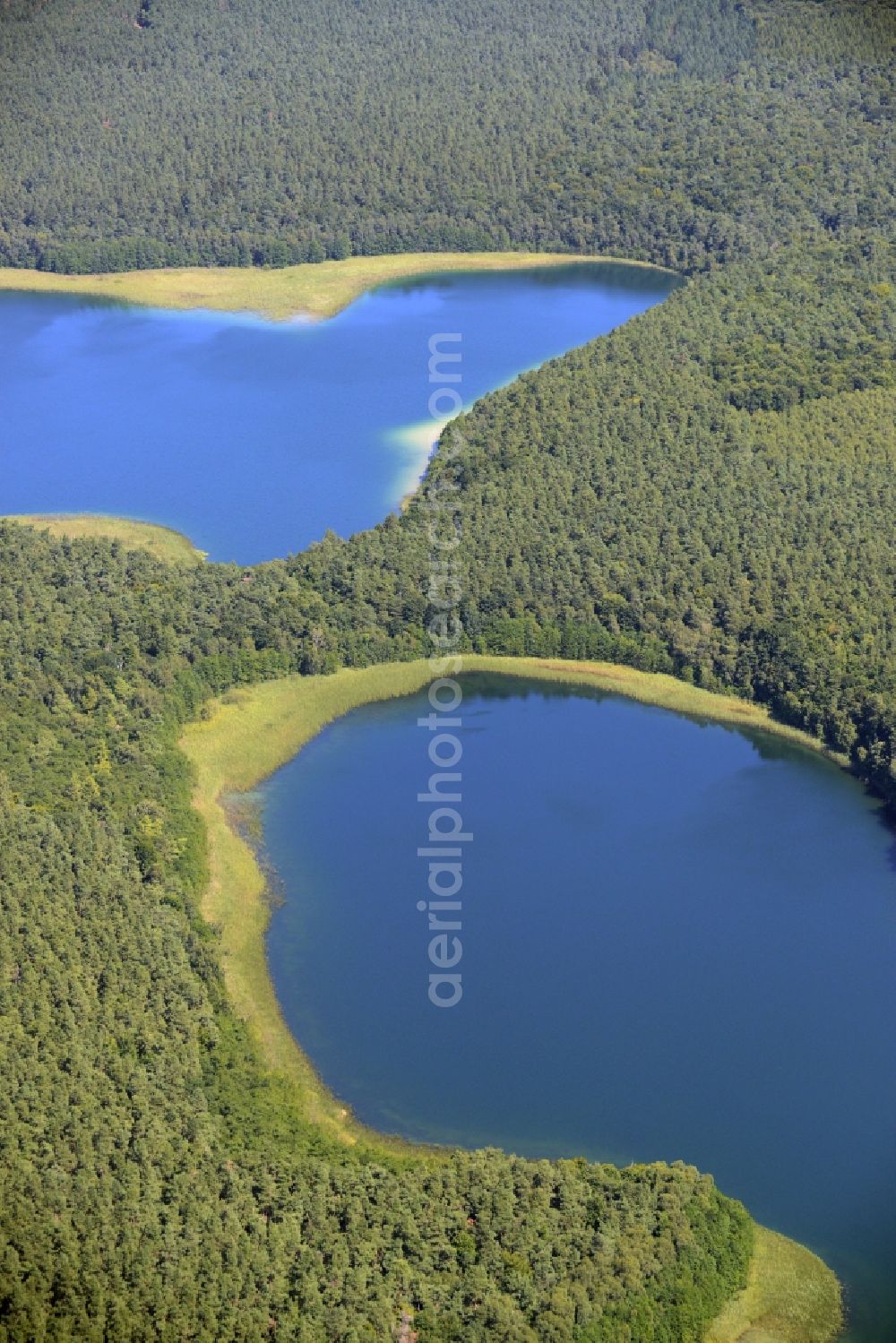 Neustrelitz from above - Forest between the lakes of Grosser Fuerstenseer See and Zwirnsee in Neustrelitz in the state of Mecklenburg - Western Pomerania. The two lakes are located amidst forest in the East of the urban area in the county district of Mecklenburgische Seenplatte