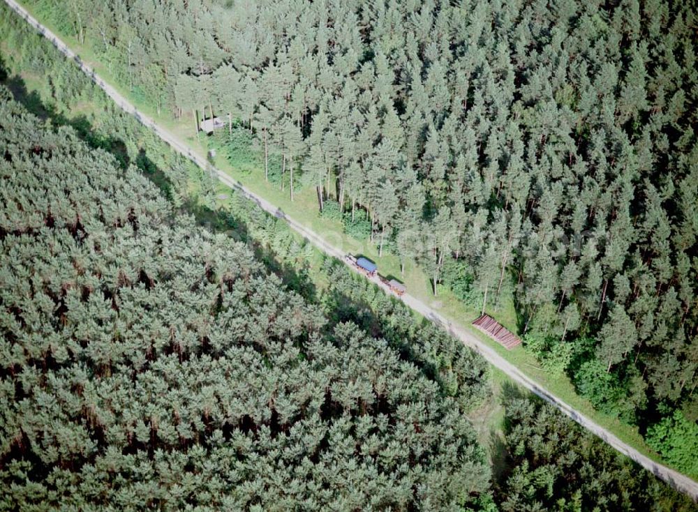 Aerial image Spitzmühle bei Strausberg - Waldweg am Bötzsee bei Strausberg.