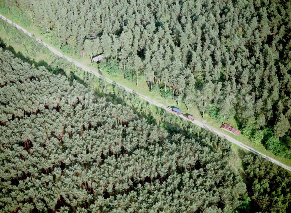 Spitzmühle bei Strausberg from above - Waldweg am Bötzsee bei Strausberg.