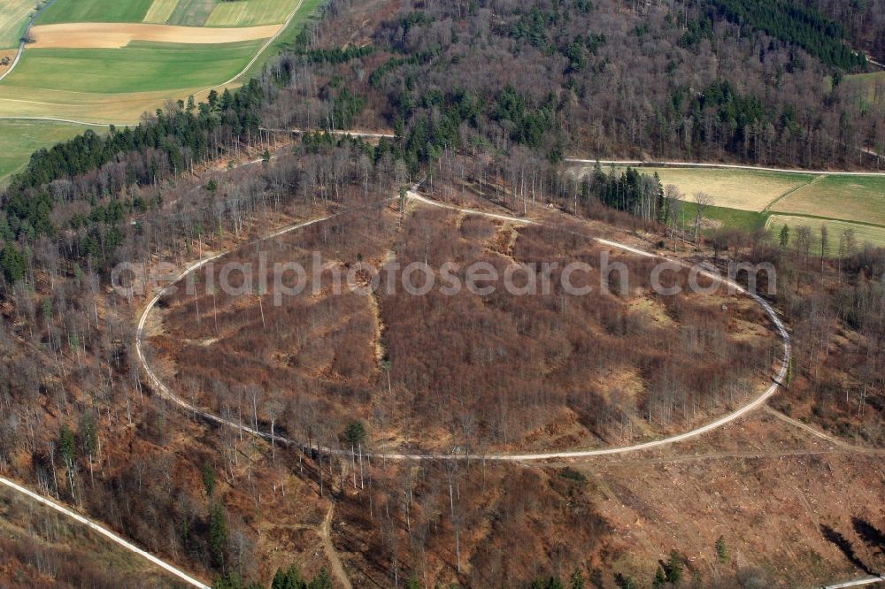 Aerial image Rheinfelden (Baden) - Forest road loop in winter forest at Rheinfelden (Baden) in the state of Baden-Wuerttemberg