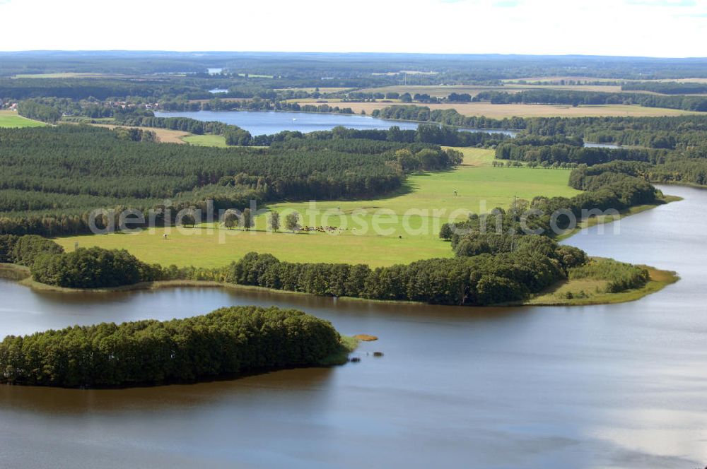 Priepert from the bird's eye view: Die Größe des Sees beträgt 190 ha. Er bietet unter an derem einen Lebensraum für See- und Fischadler, Otter, Europäische Sumpfschildkröte und Eisvogel. Aufgrund der geringen Tiefe ist der See Brut- und Laichgewässer für den Zan der. Da er für den Motorbootverkehr gesperrt ist, bietet er Wasserwan derern gute Bedingungen.