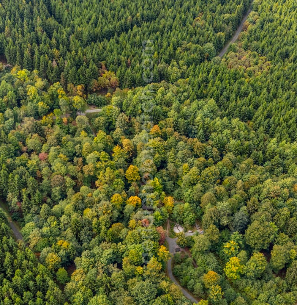 Aerial image Winterberg - Source of water in the nature reserve Ruhrquelle on Rothaarsteig in Winterberg in the state North Rhine-Westphalia, Germany