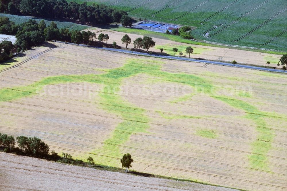 Lüdelsen from above - Vegetation structures on agricultural fields characterized by subterranean waterways in Luedelsen in the state Saxony-Anhalt, Germany