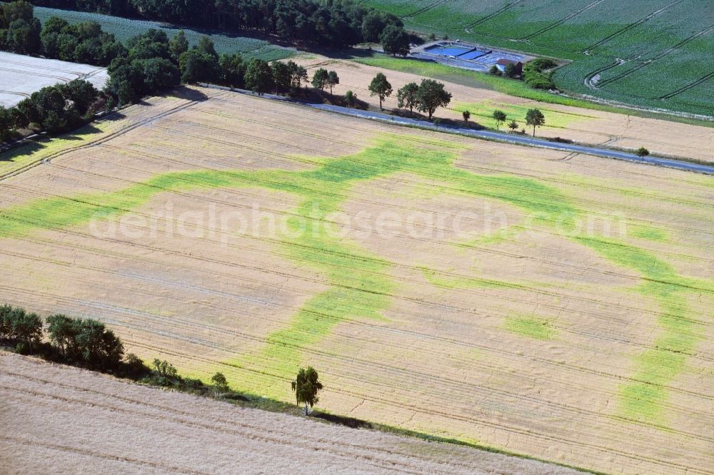 Aerial image Lüdelsen - Vegetation structures on agricultural fields characterized by subterranean waterways in Luedelsen in the state Saxony-Anhalt, Germany