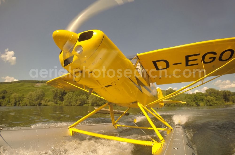 Zeltingen-Rachtig from the bird's eye view: Seaplane Piper PA-18 Super Cub on the Moselle with pines in Zeltingen in the state Rhineland-Palatinate. No use for reports on aviation accidents