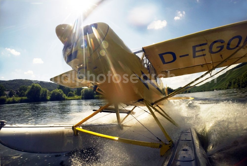 Zeltingen-Rachtig from the bird's eye view: Seaplane Piper PA-18 Super Cub on the Moselle with pines in Zeltingen in the state Rhineland-Palatinate. No use for reports on aviation accidents