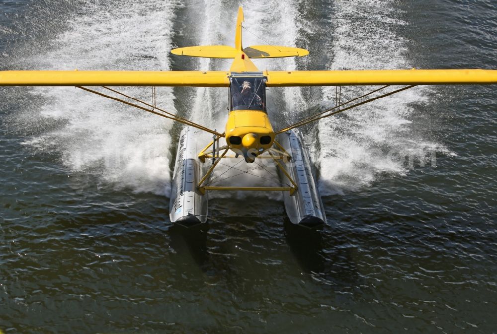 Zeltingen-Rachtig from the bird's eye view: Seaplane Piper PA-18 Super Cub on the Moselle with pines in Zeltingen in the state Rhineland-Palatinate. No use for reports on aviation accidents