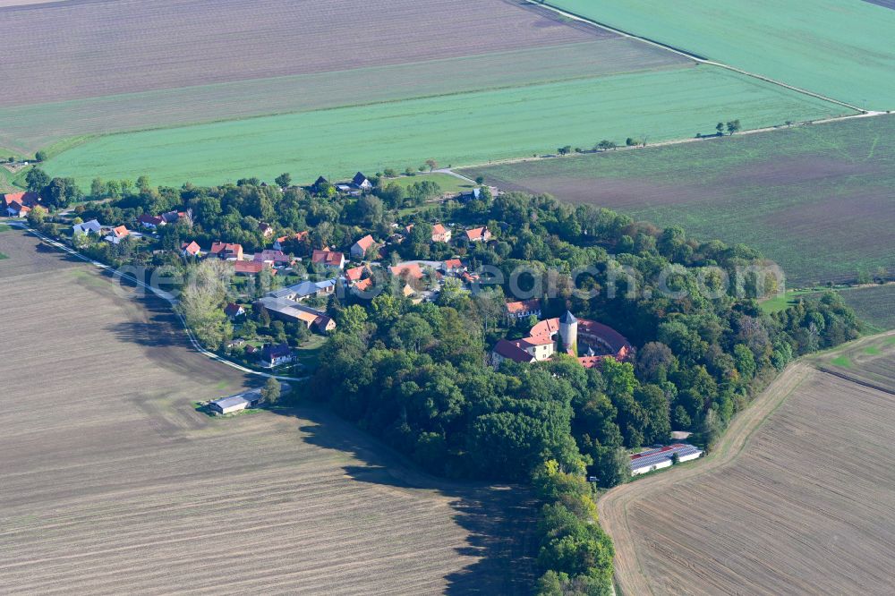 Westerburg from the bird's eye view: Building and castle park systems of water castle in Westerburg in the state Saxony-Anhalt, Germany