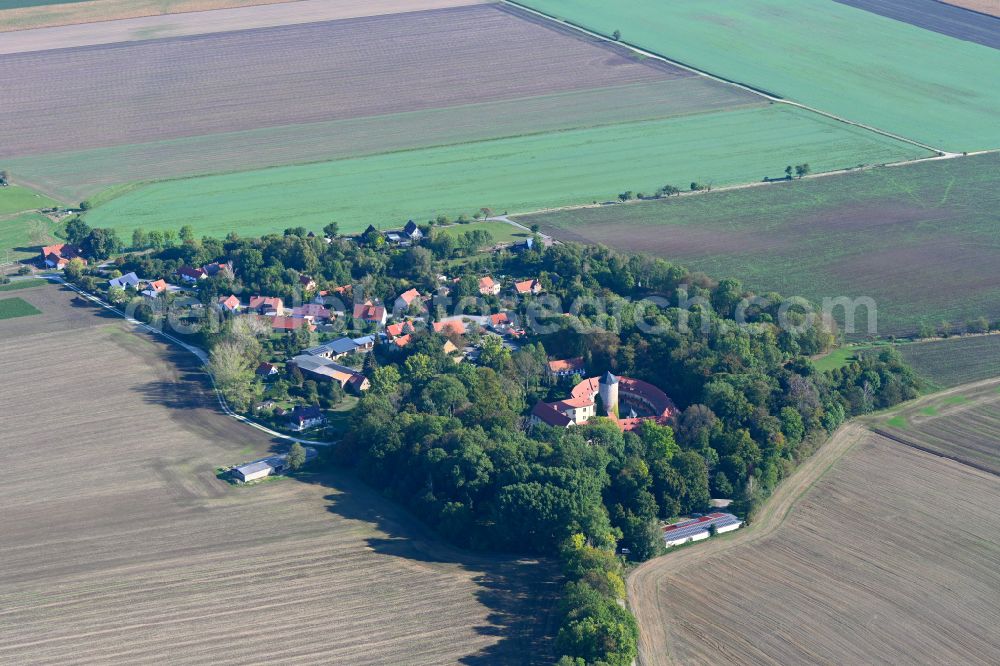 Aerial image Westerburg - Building and castle park systems of water castle in Westerburg in the state Saxony-Anhalt, Germany