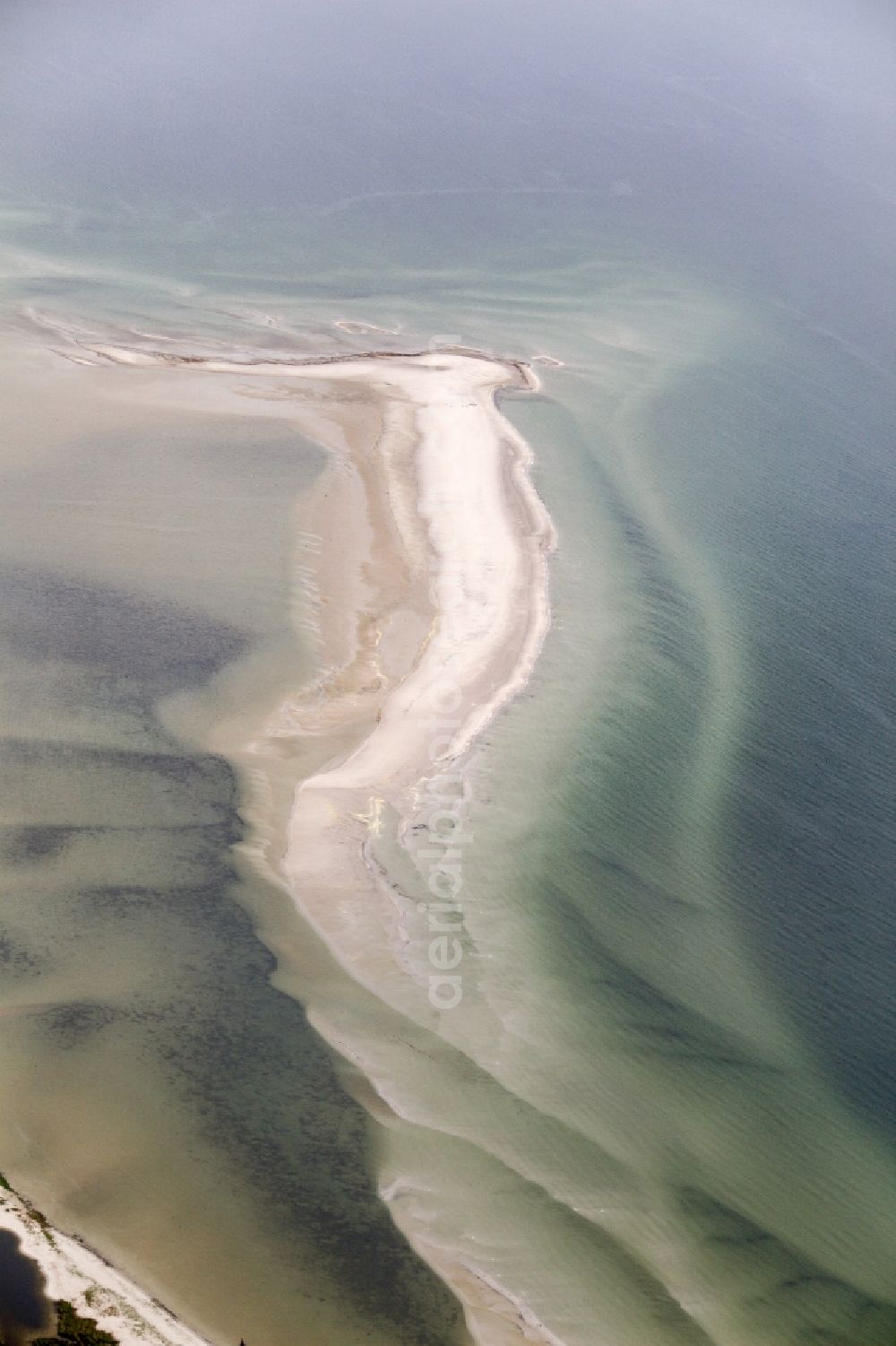 Born am Darß from the bird's eye view: Water surface at the seaside in Born am Darss in the state Mecklenburg - Western Pomerania, Germany