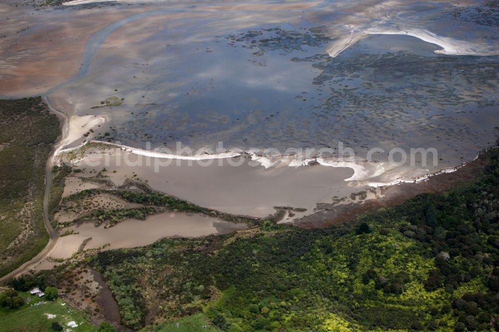 Aerial image Preece Point - Water surface at the seaside of the Brickfield Bay in Preece Point in Waikato, New Zealand