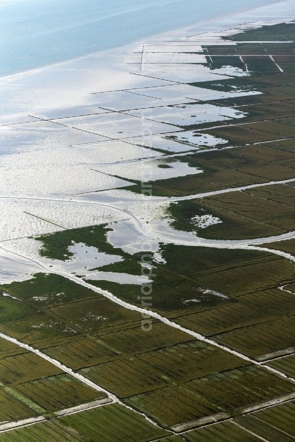 Aerial photograph Nordstrand - Water surface at the seaside in Nordstrand in the state Schleswig-Holstein, Germany