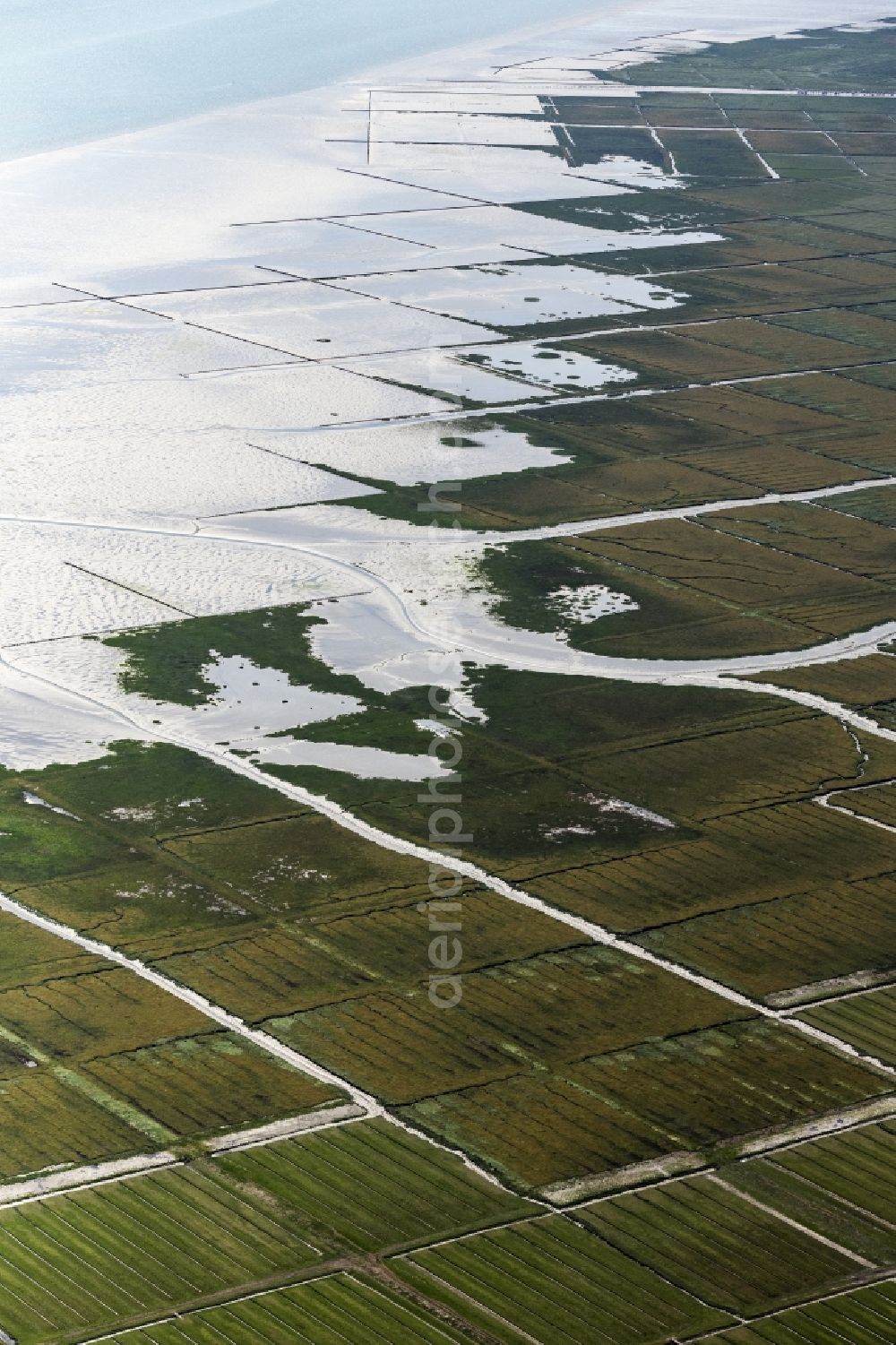 Nordstrand from above - Water surface at the seaside in Nordstrand in the state Schleswig-Holstein, Germany