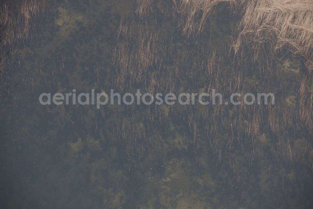 Aerial image Rankwitz - Water surface at the seaside of Baltic Sea in Rankwitz in the state Mecklenburg - Western Pomerania, Germany