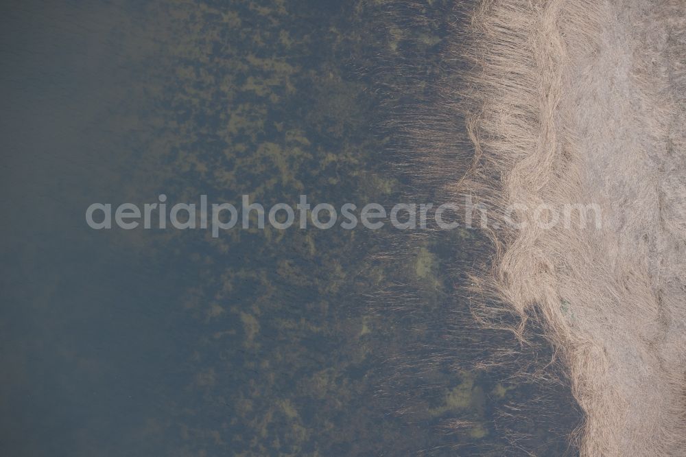 Aerial image Rankwitz - Water surface at the seaside of Baltic Sea in Rankwitz in the state Mecklenburg - Western Pomerania, Germany