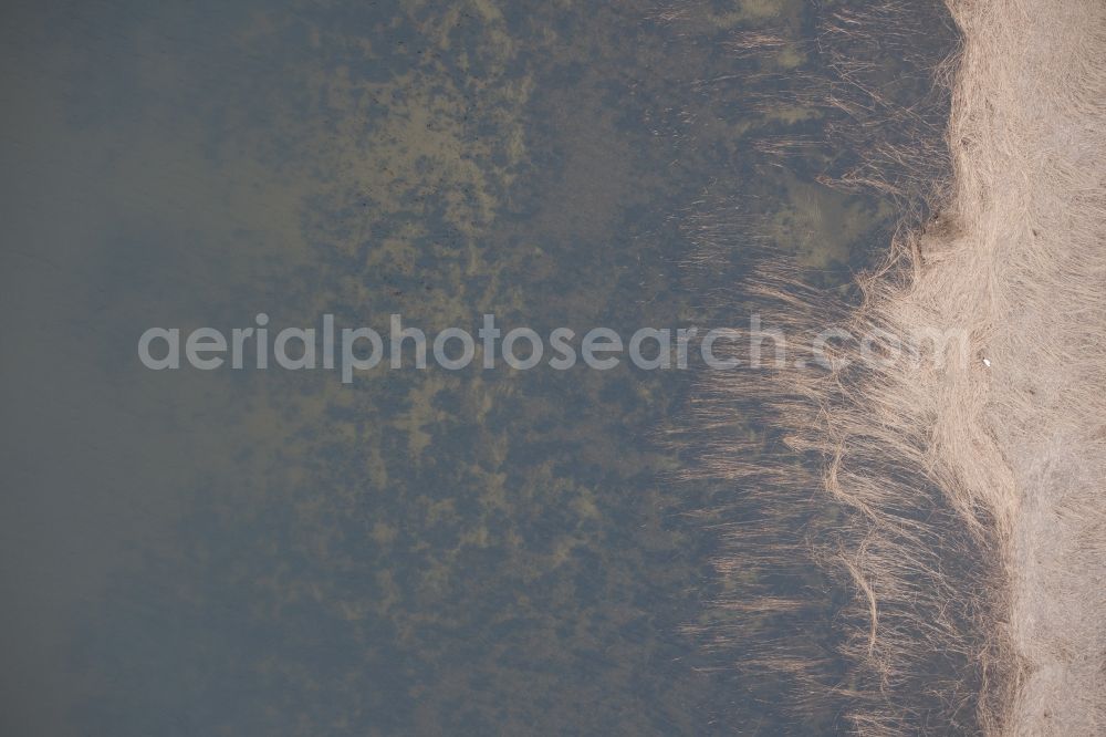 Aerial photograph Rankwitz - Water surface at the seaside of Baltic Sea in Rankwitz in the state Mecklenburg - Western Pomerania, Germany