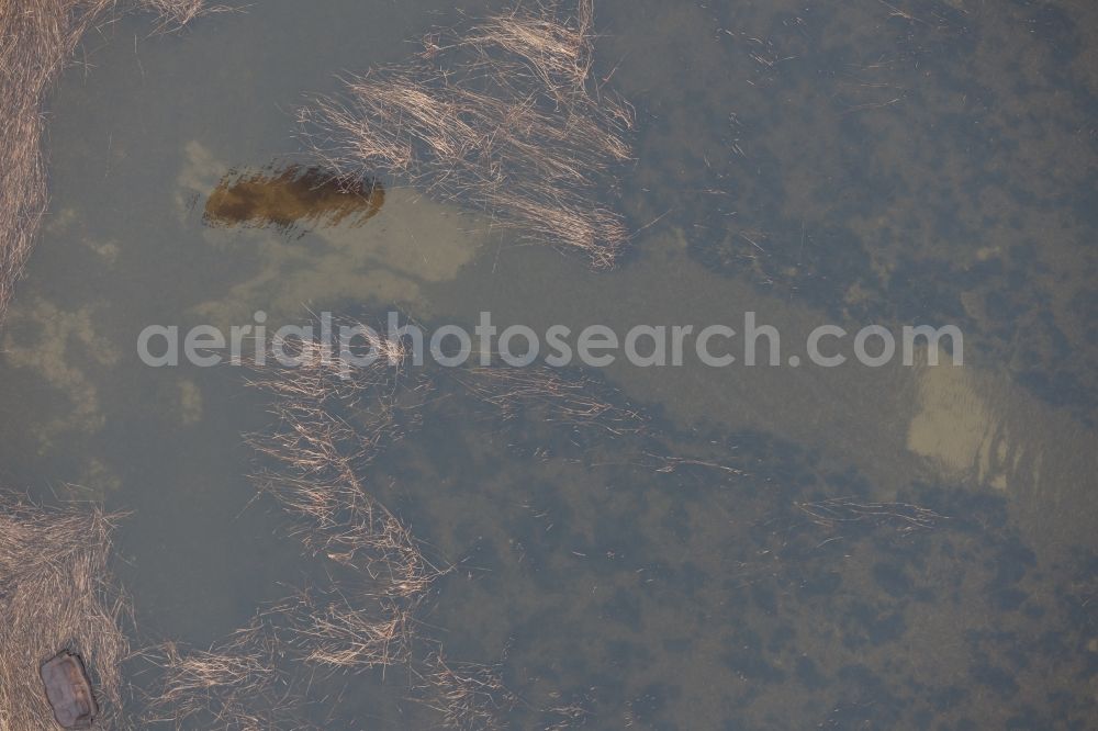 Rankwitz from above - Water surface at the seaside of Baltic Sea in Rankwitz in the state Mecklenburg - Western Pomerania, Germany