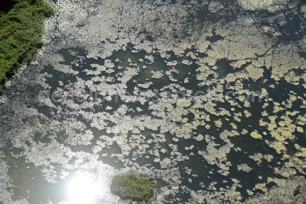 Aerial image Lebus - Water surface of a pool in Lebus in the state Brandenburg