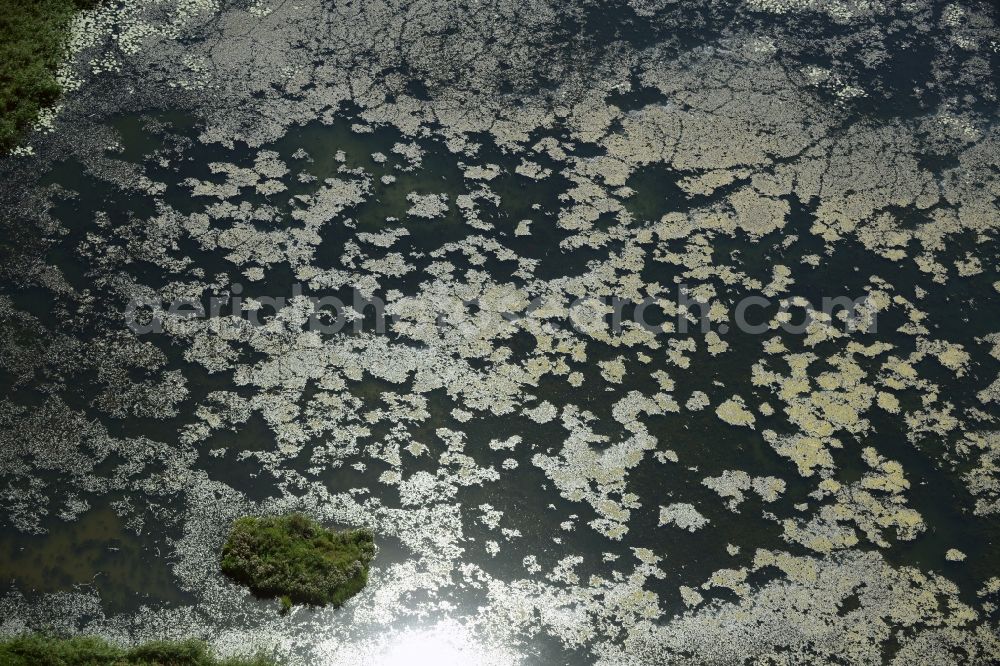 Aerial photograph Lebus - Water surface of a pool in Lebus in the state Brandenburg