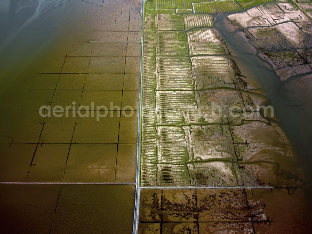 Aerial image Büsum - Blick auf Wasserstrukturen im Nationalpark Schleswig-Holsteinisches Wattenmeer bei Büsum. Der Nationalpark Schleswig-Holsteinisches Wattenmeer ist ein Nationalpark im Schleswig-Holsteinischen Teil des Wattenmeers der Nordsee. Er ist als Biosphärenreservat und von der UNESCO als Weltnaturerbe anerkannt.// View of water structures in The Wadden Sea National Park to Büsum. The Wadden Sea National Parks is a part of the Schleswig-Holstein Wadden Sea to the North Sea.