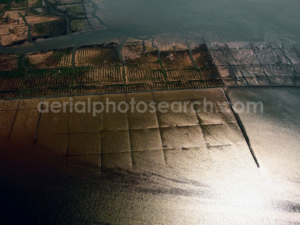 Aerial photograph Büsum - Blick auf Wasserstrukturen im Nationalpark Schleswig-Holsteinisches Wattenmeer bei Büsum. Der Nationalpark Schleswig-Holsteinisches Wattenmeer ist ein Nationalpark im Schleswig-Holsteinischen Teil des Wattenmeers der Nordsee. Er ist als Biosphärenreservat und von der UNESCO als Weltnaturerbe anerkannt.// View of water structures in The Wadden Sea National Park to Büsum. The Wadden Sea National Parks is a part of the Schleswig-Holstein Wadden Sea to the North Sea.