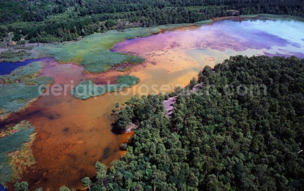 Aerial photograph Schwarzheide - Water and pollution from the chemical industry, BASF Schwarzheide in Brandenburg. It is in the brown coal mining area of Lausitz