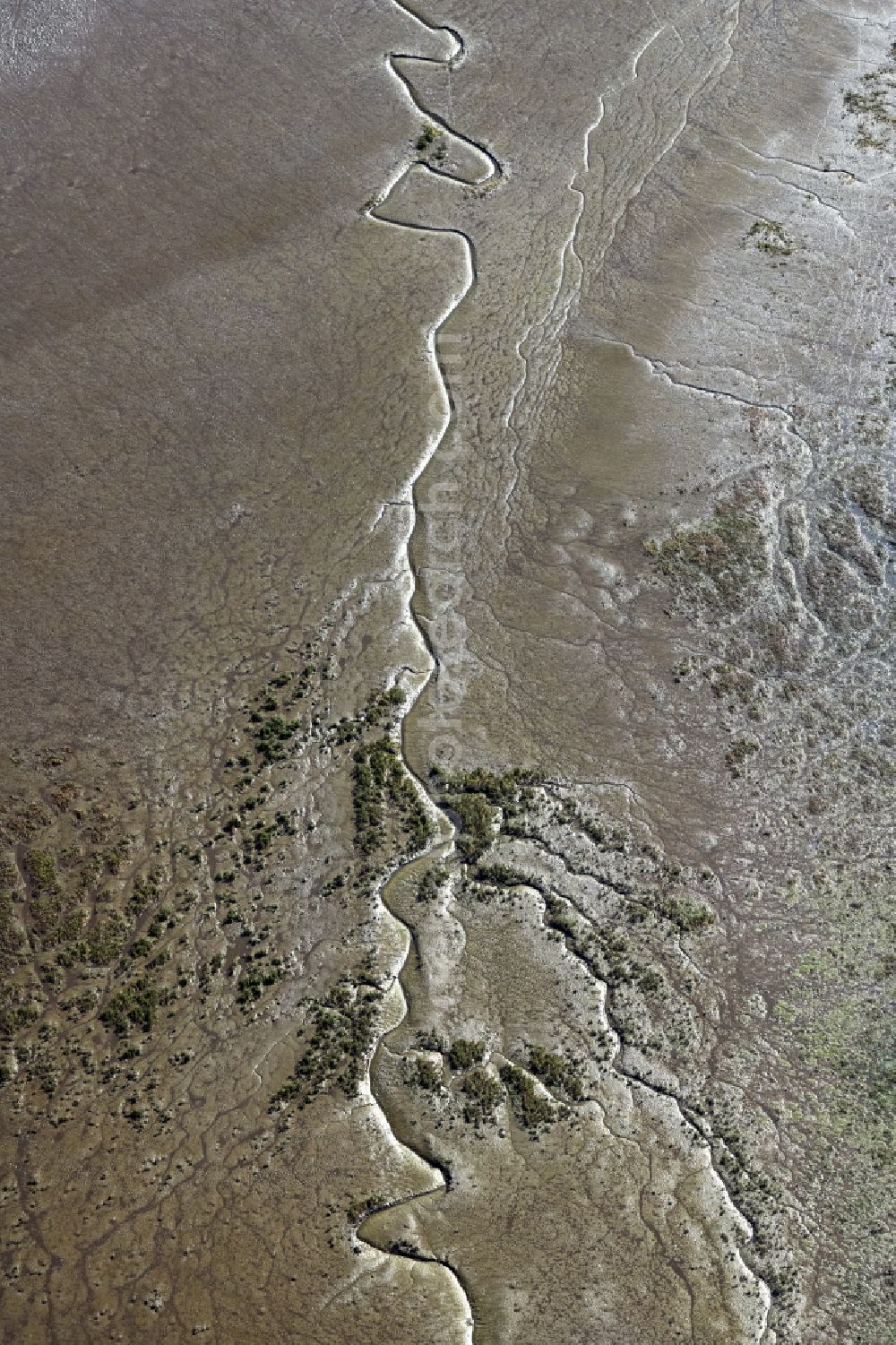 Jork from above - Riparian areas with mudflats along the course of the river of the River Elbe in Jork Old Land in the state Lower Saxony, Germany