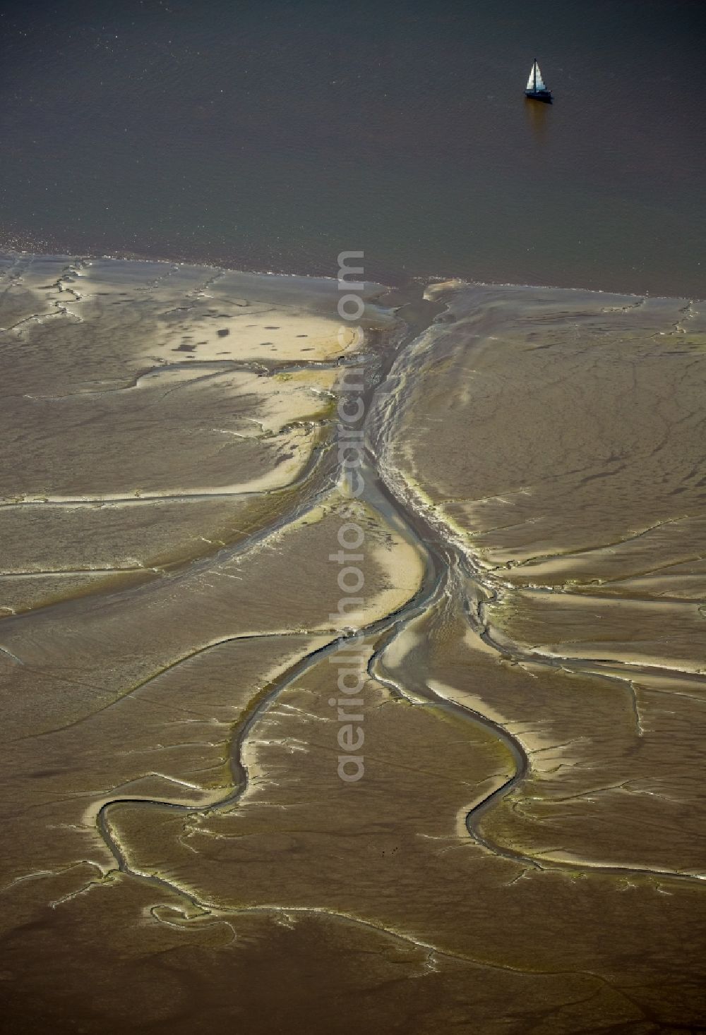 Aerial image Wedel - Wadden Sea - like sand nourishments on the banks of the Elbe near Wedel in Schleswig-Holstein