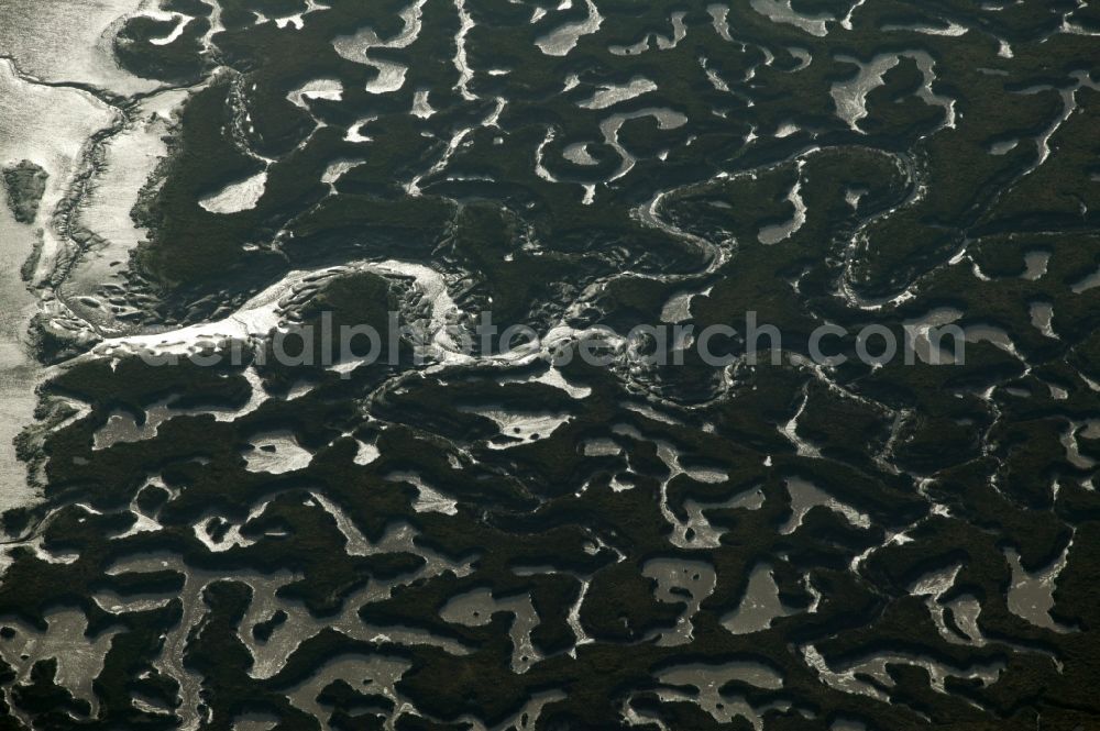 Aerial photograph Varel - Wadden Sea landscape on the North Sea coast at Varel in Lower Saxony