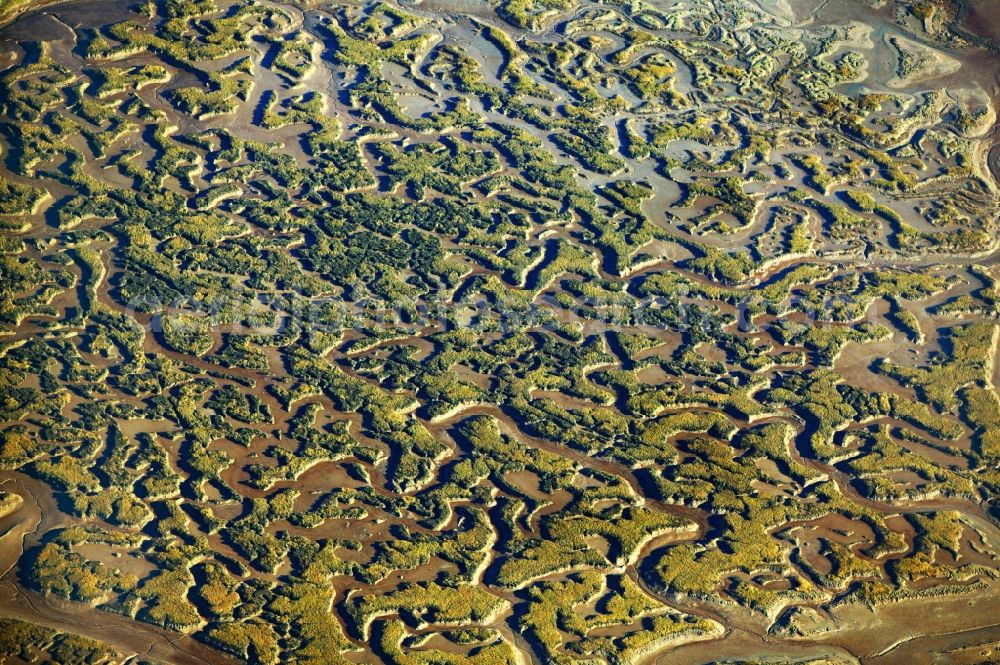 Varel from the bird's eye view: Wadden Sea landscape on the North Sea coast at Varel in Lower Saxony