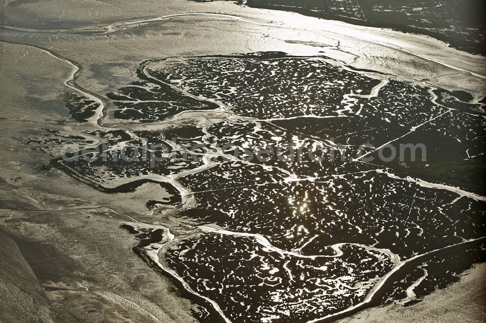 Aerial photograph Varel - Wadden Sea landscape on the North Sea coast at Varel in Lower Saxony