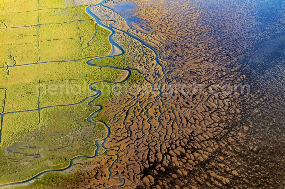 Wesselburenerkoog from the bird's eye view: Wadden Sea of a