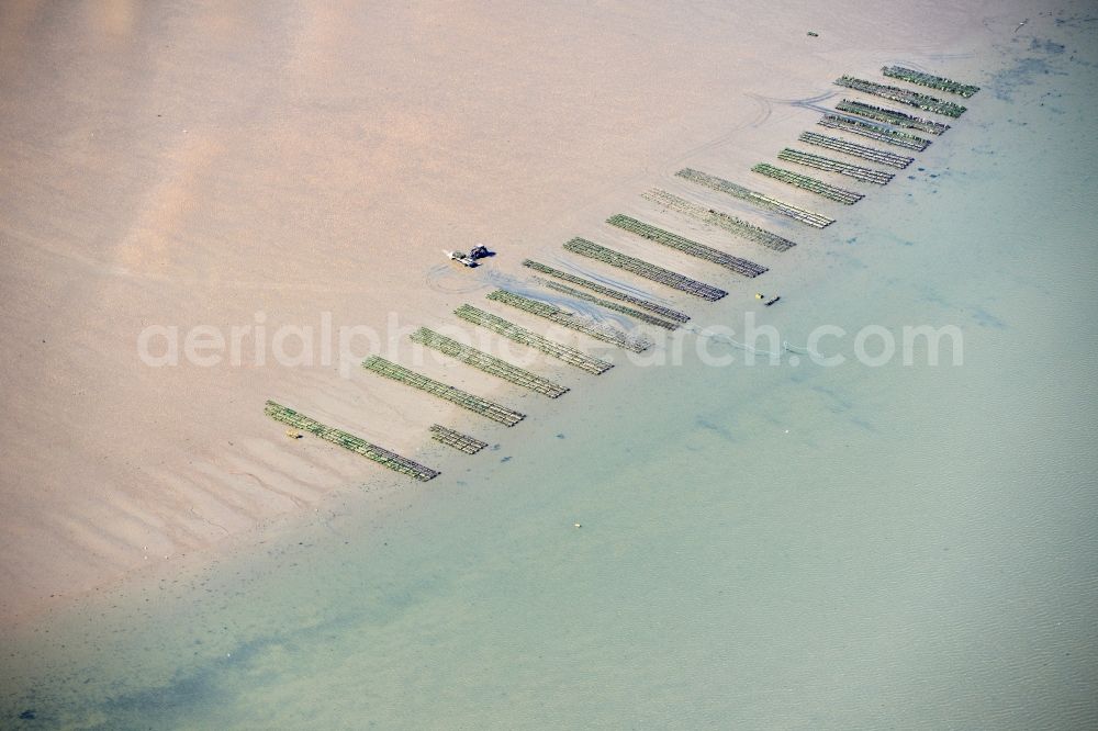 List from above - Wadden Sea of North Sea Coast with oyster breeding benches in List in the state Schleswig-Holstein