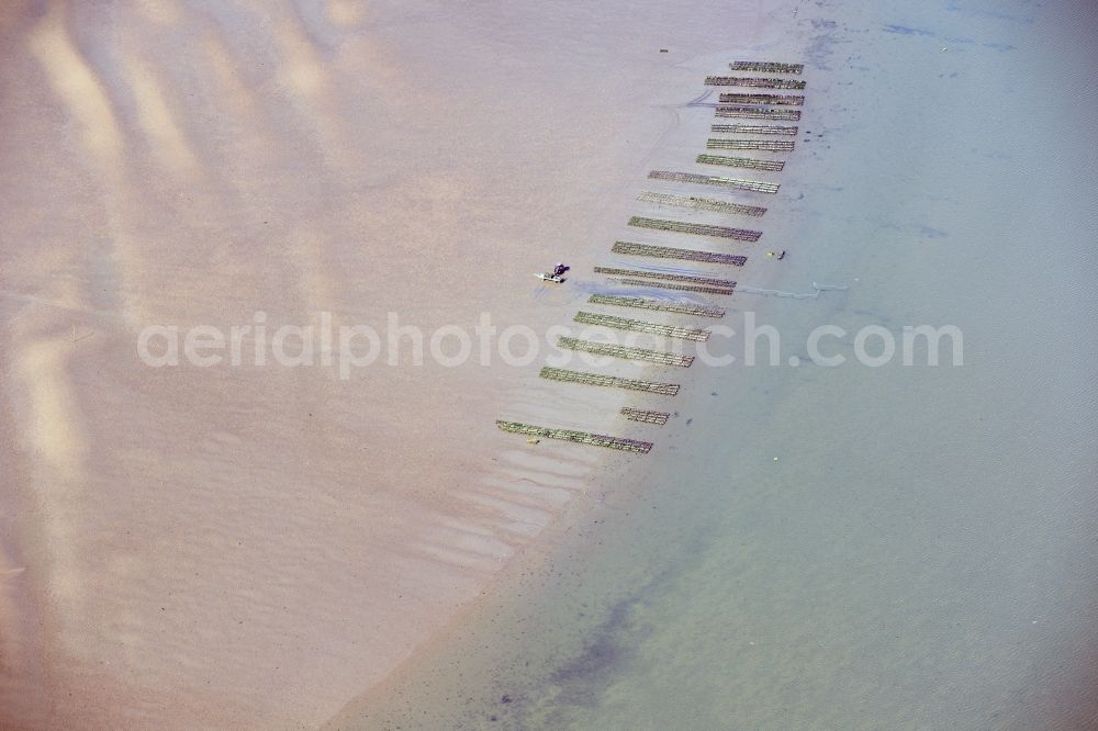 Aerial image List - Wadden Sea of North Sea Coast with oyster breeding benches in List in the state Schleswig-Holstein