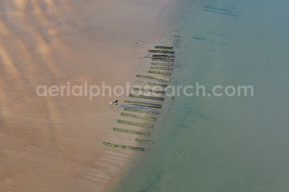 Aerial photograph List - Wadden Sea of North Sea Coast with oyster breeding benches in List in the state Schleswig-Holstein