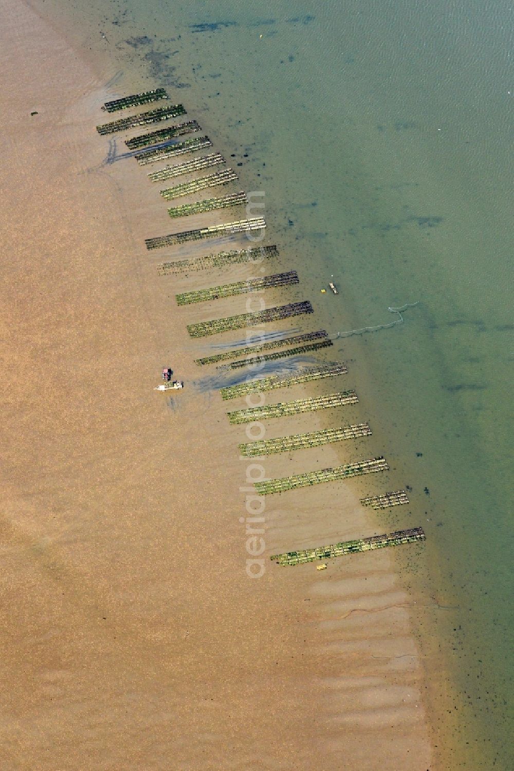 List from above - Wadden Sea of North Sea Coast with oyster breeding benches in List in the state Schleswig-Holstein