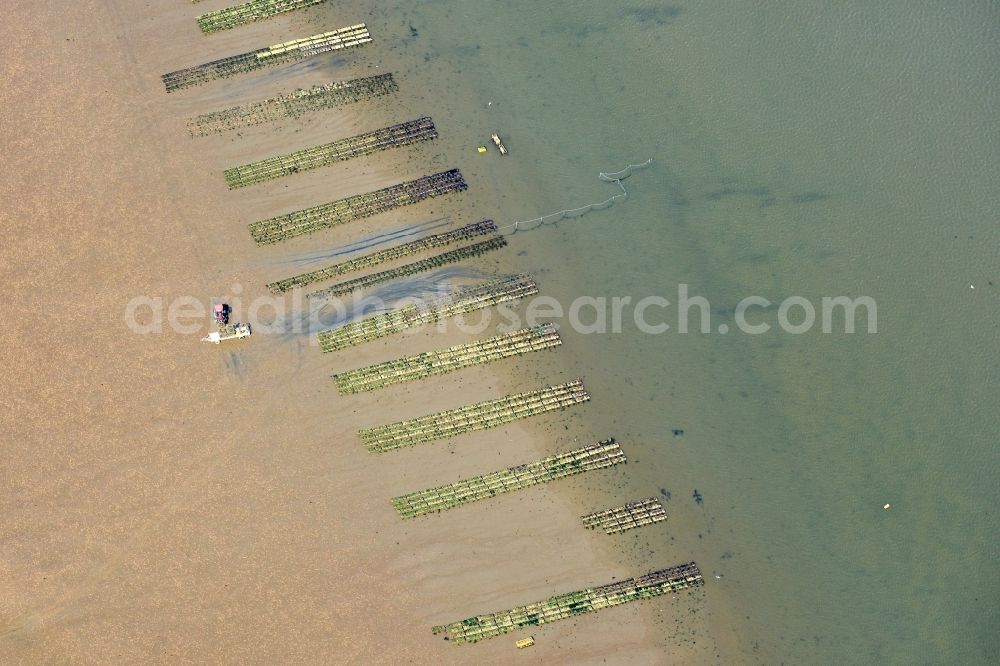 List from the bird's eye view: Wadden Sea of North Sea Coast with oyster breeding benches in List in the state Schleswig-Holstein