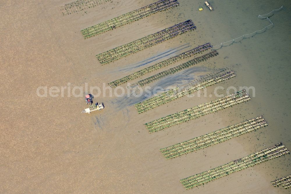 Aerial image List - Wadden Sea of North Sea Coast with oyster breeding benches in List in the state Schleswig-Holstein