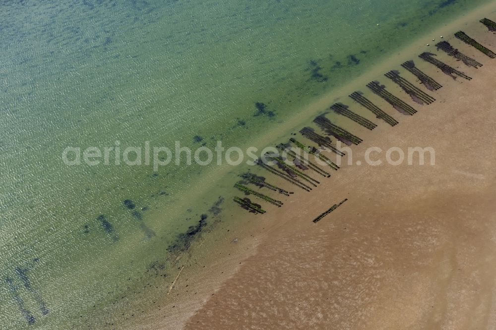 List from above - Wadden Sea of North Sea Coast with oyster breeding benches in List in the state Schleswig-Holstein