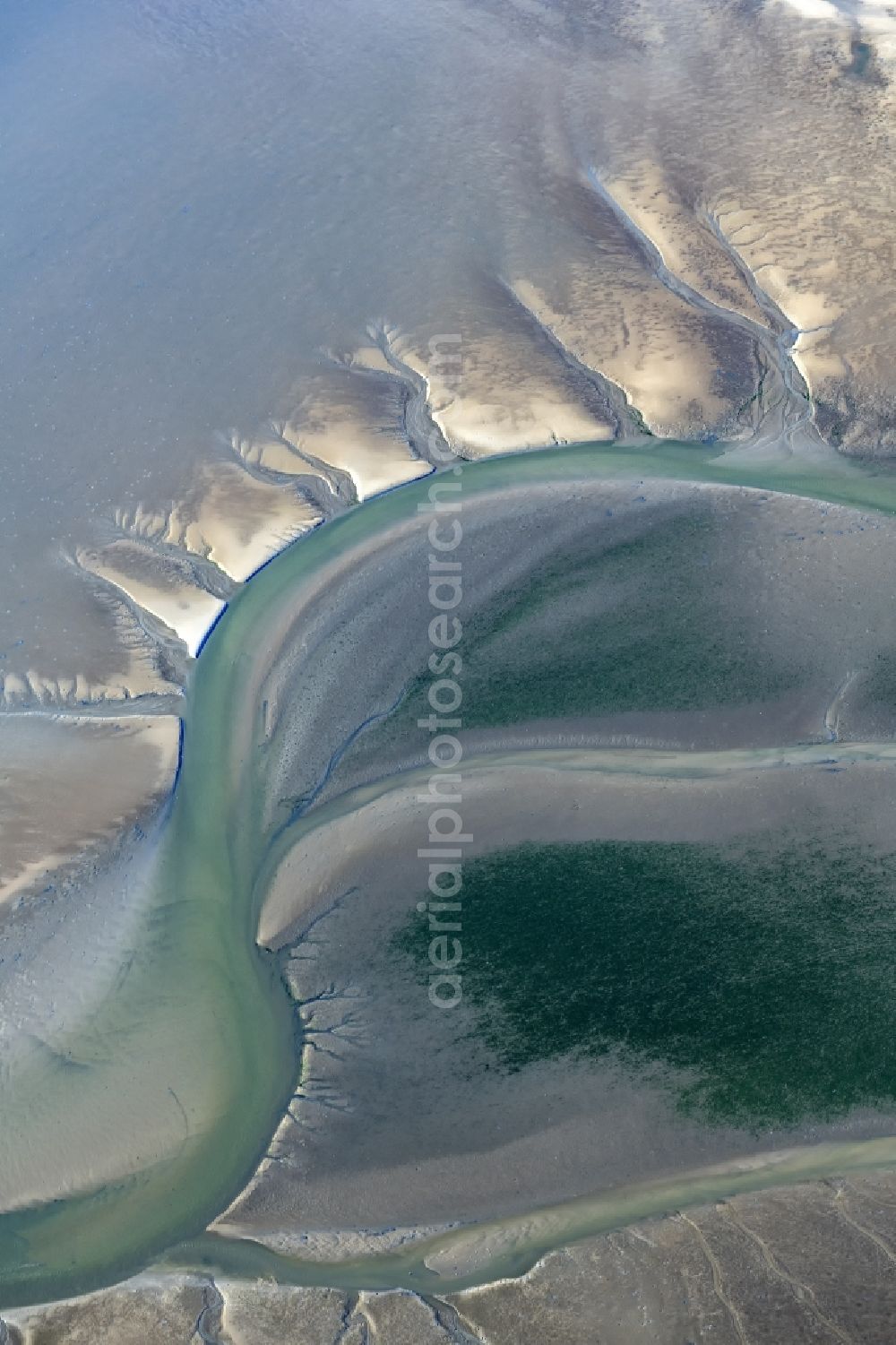 Aerial photograph Cuxhaven - Wadden Sea of North Sea Coast near Cuxhaven in the state Lower Saxony