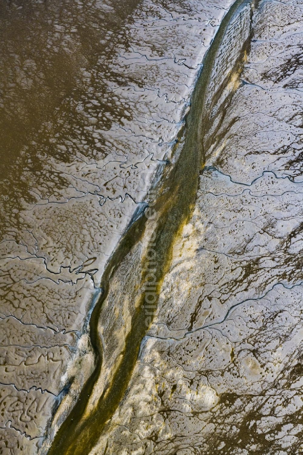 Aerial image Cuxhaven - Wadden Sea of North Sea Coast near Cuxhaven in the state Lower Saxony