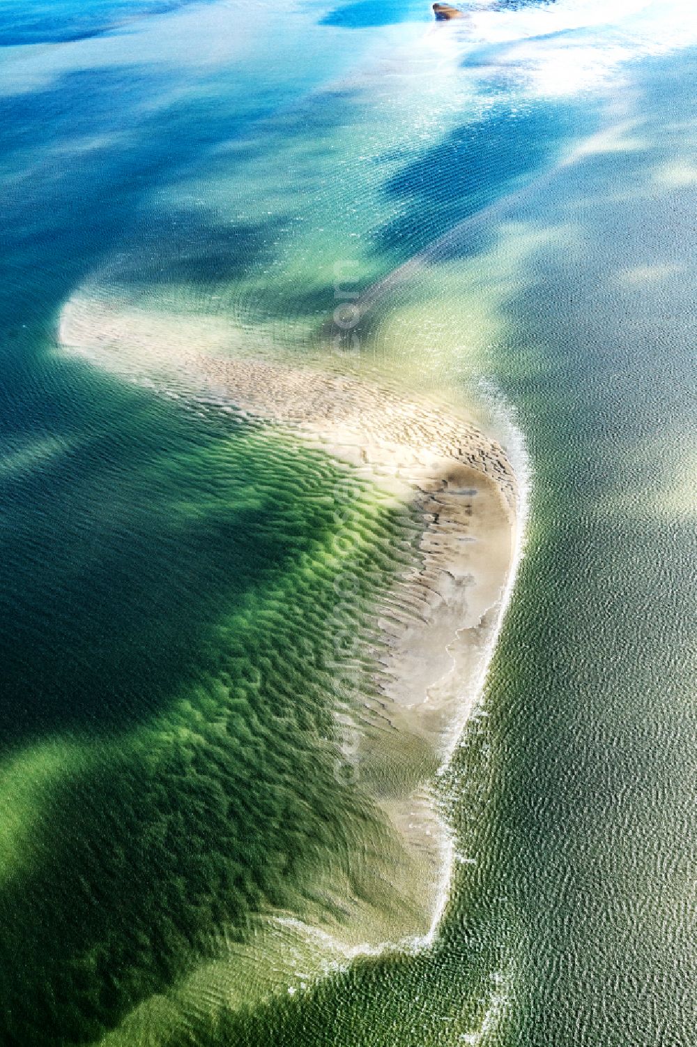 Butjadingen from the bird's eye view: Wadden Sea of North Sea Coast in Butjadingen in the state Lower Saxony, Germany