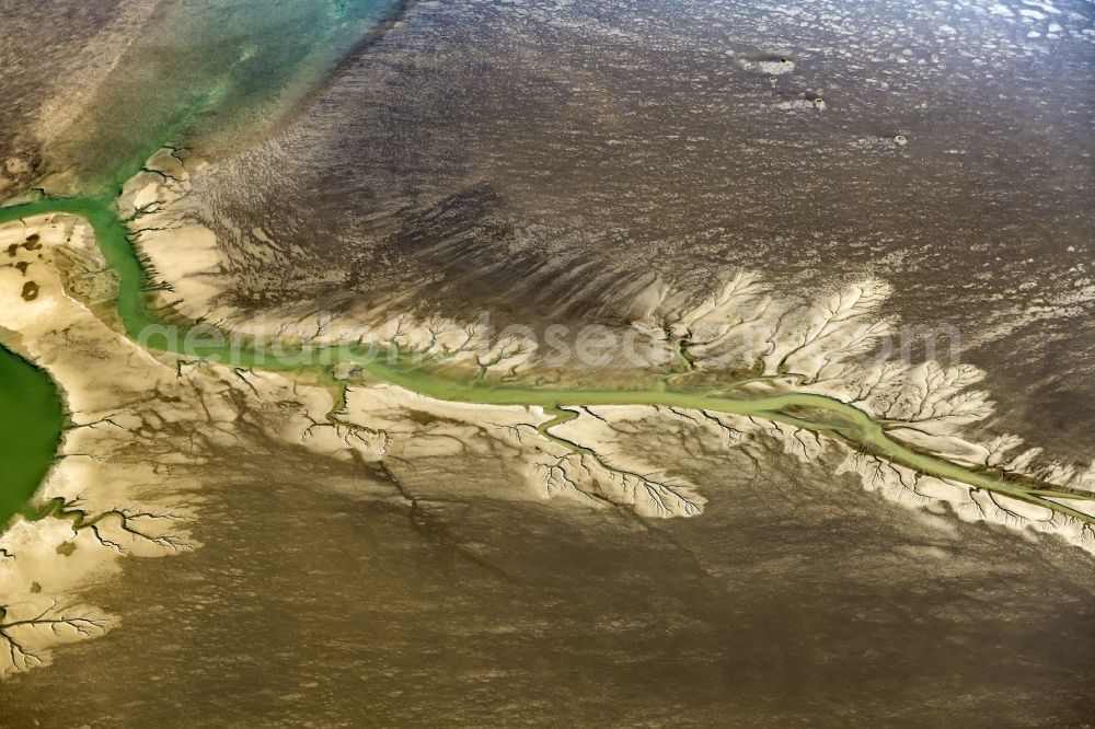 Friedrichskoog from above - Wadden Sea of North Sea Coast before Friedrichskoog in the state Schleswig-Holstein, Germany