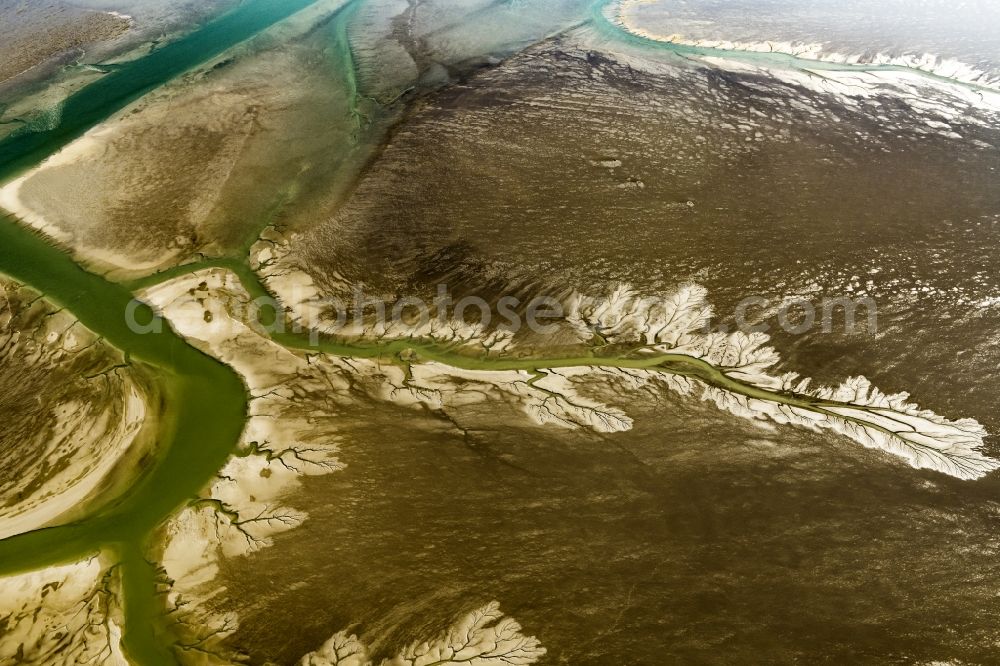 Friedrichskoog from the bird's eye view: Wadden Sea of North Sea Coast before Friedrichskoog in the state Schleswig-Holstein, Germany